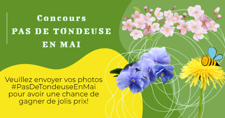 PetitcodiacWA's tweet photo. Attention à tous les participants loyaux de #PasDeTondeuseEnMai! Nous avons de petits et grands prix à distribuer pour les meilleures pelouses du mois de mai. Envoyez vos photos pour participer au tirage. Nous vous remercie de ne pas tondre au nom de la biodiversité! 🐞🍂🐝🌸🦗 https://t.co/bbH2arCUK7