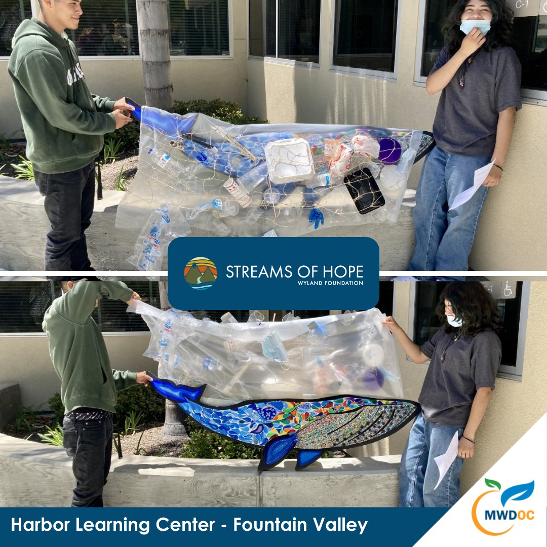 MWDOC's tweet photo. Here's another fun Stella reveal from the Harbor Learning Center in @fv_cityhall! This is part of our Streams of Hope campaign in partnership with the @WylandORG! #StreamsOfHope || Learn More: https://t.co/BOt34NRNfX https://t.co/JmIo2gnkvn
