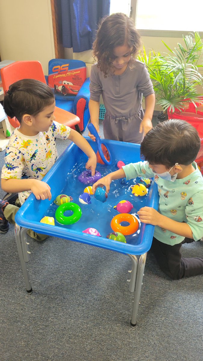 Alison Bancroft tweet media