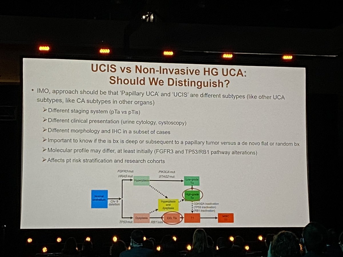 slusagar's tweet photo. more recently: @MichelleDunno17 discussed this issue at @GU_Path_Society #USCAP2022 https://t.co/ekO0pbczKe