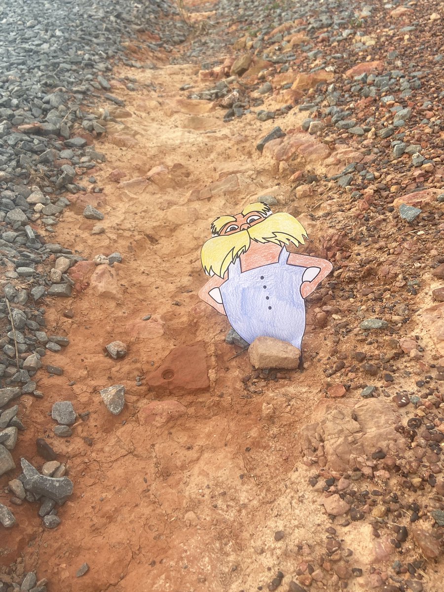 KristenBaucom1's tweet photo. The Lorax stopped by an example of soil erosion from recent rain in my driveway. The Lorax also visited a corn crop. This farmer uses crop rotation to maintain soil quality. #soilerosion #croprotation #FLATLORAX @mrsdirvin @UCVirtualNC @AGHoulihan @SusanRodgersS4 @PiedmontHSNC https://t.co/aJfNGRScYw