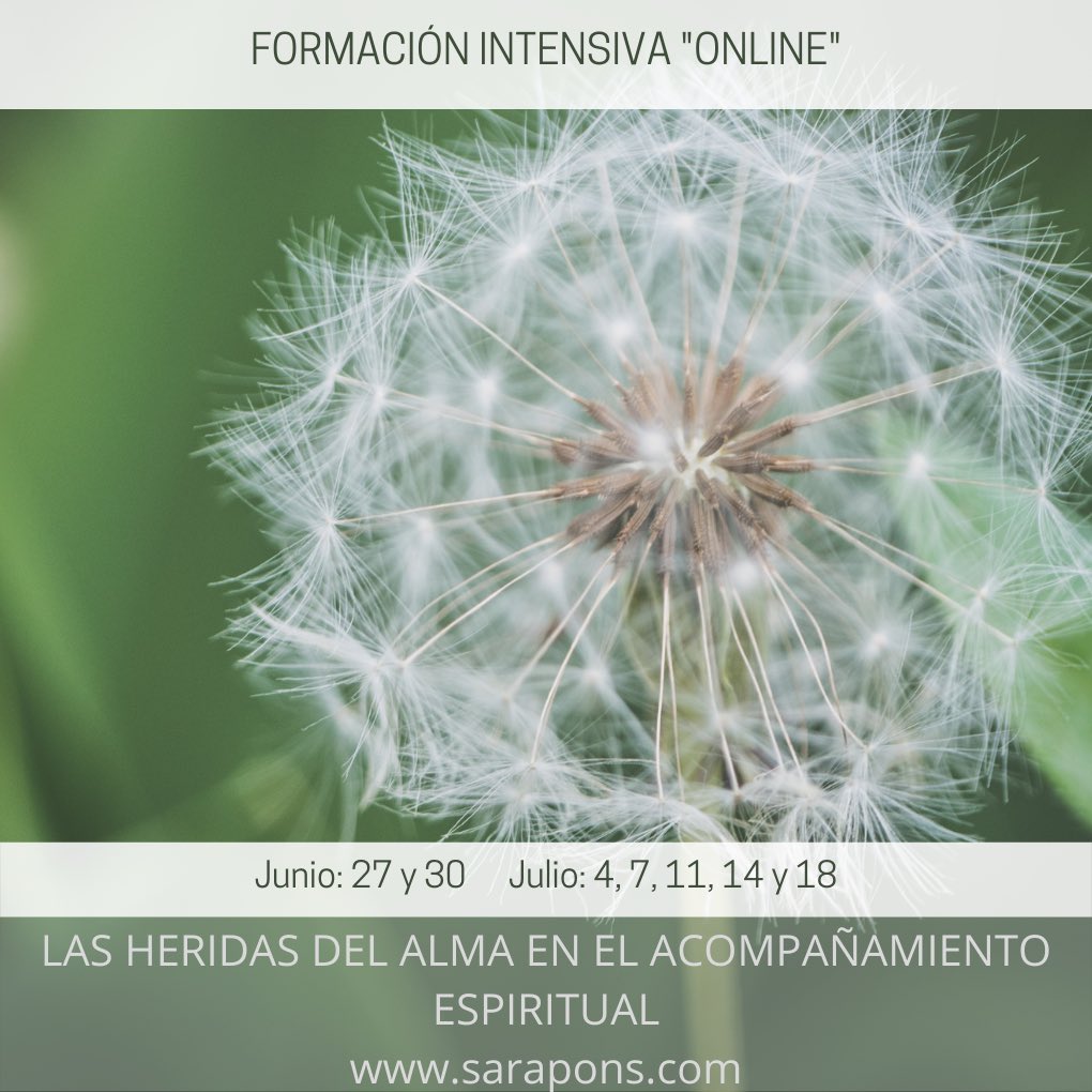 Sara Pons tweet media