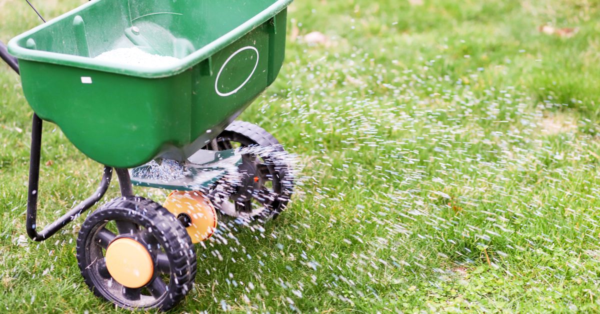 cbyrdhomes's tweet photo. A lush lawn is, in part, the result of using the right fertilizer. Learn more here. #backyard #homeprojects  https://t.co/W9VkpF0LD8 https://t.co/CgCfc8OpR5