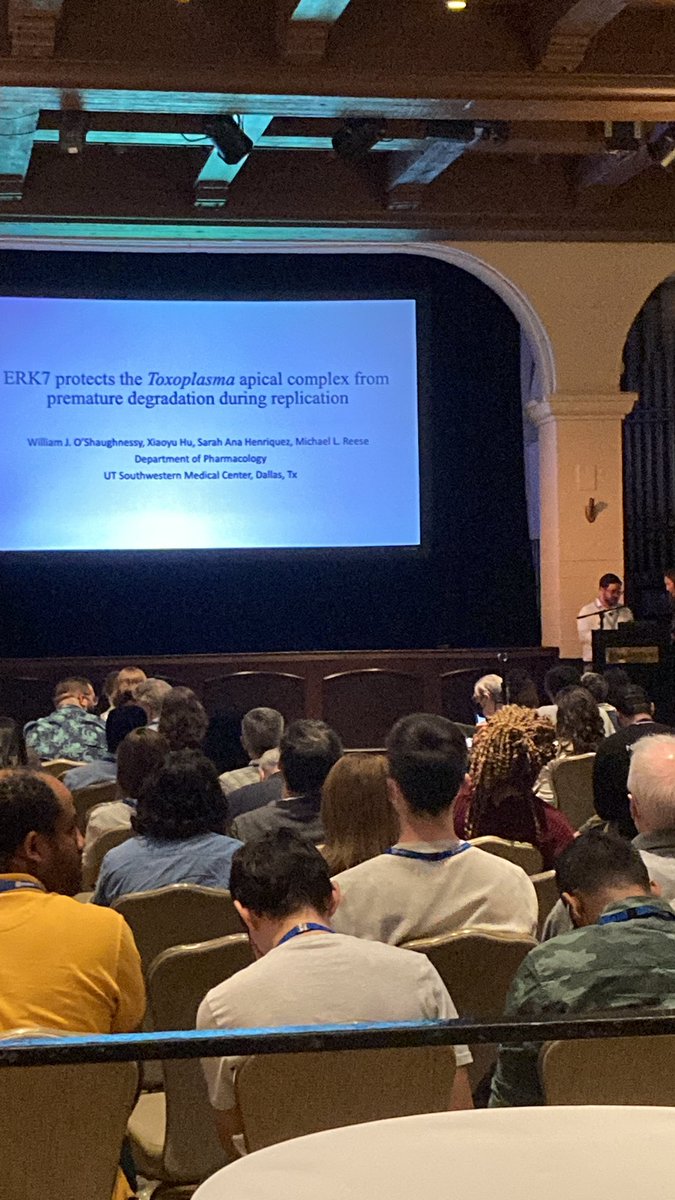 parasitesrule tweet media