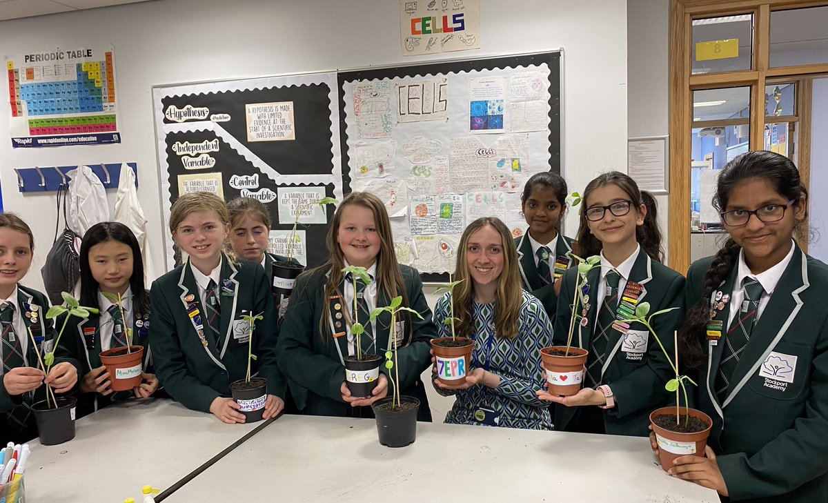 sciencecrewSA's tweet photo. Science club raced their balloon cars today and also potted up their sunflowers ready to take home 🌻 #STEM https://t.co/vMwP5yROt9