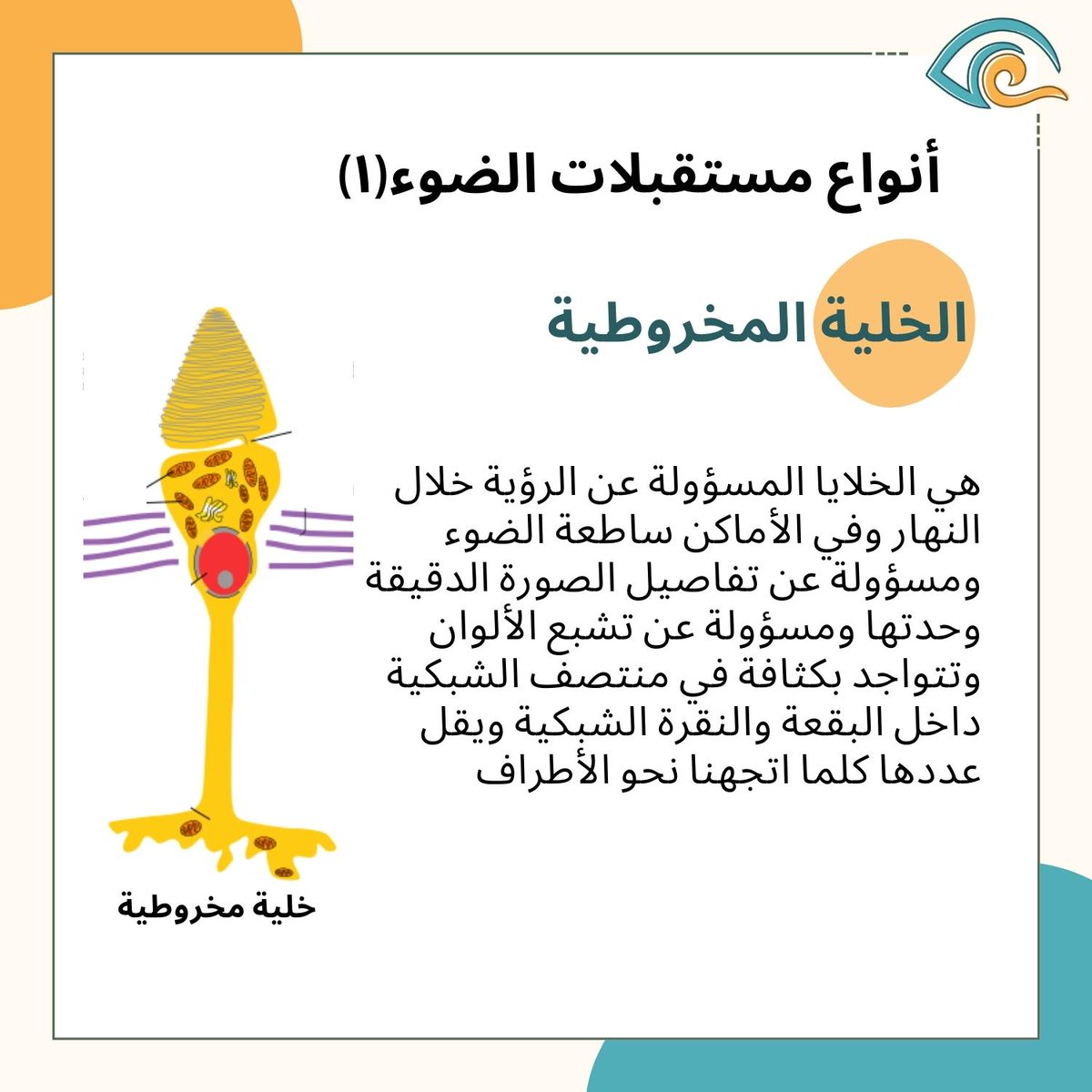 SaudiRP tweet picture
