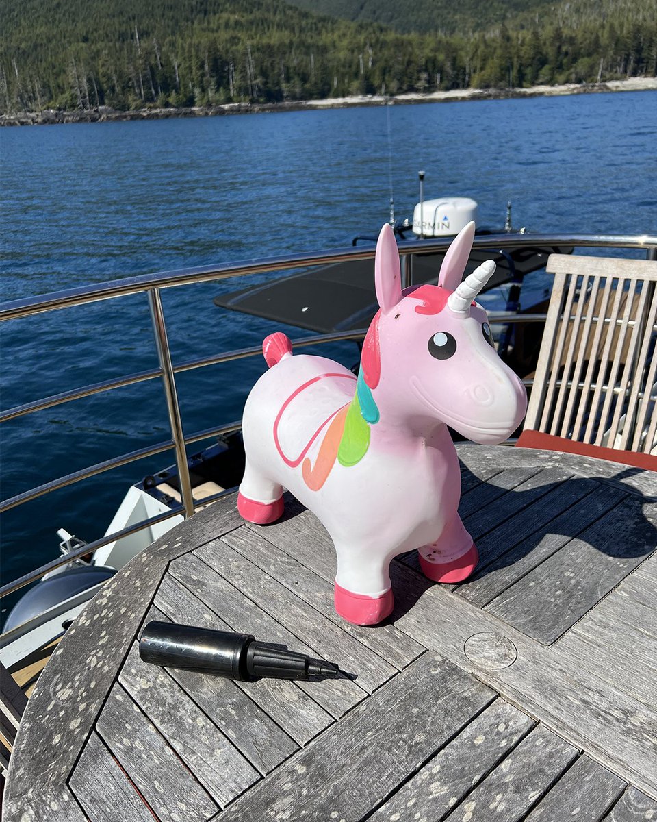 One year later, the legacy of our #BCCoastalCleanUp continues! Here's to our recent guests who were so enthusiastic about collecting debris + the crew aboard who participated in the MDRI last year (Jeff, Alina, Bob, Bryan, Cory and Jo). #marinedebris #protectouroceans
