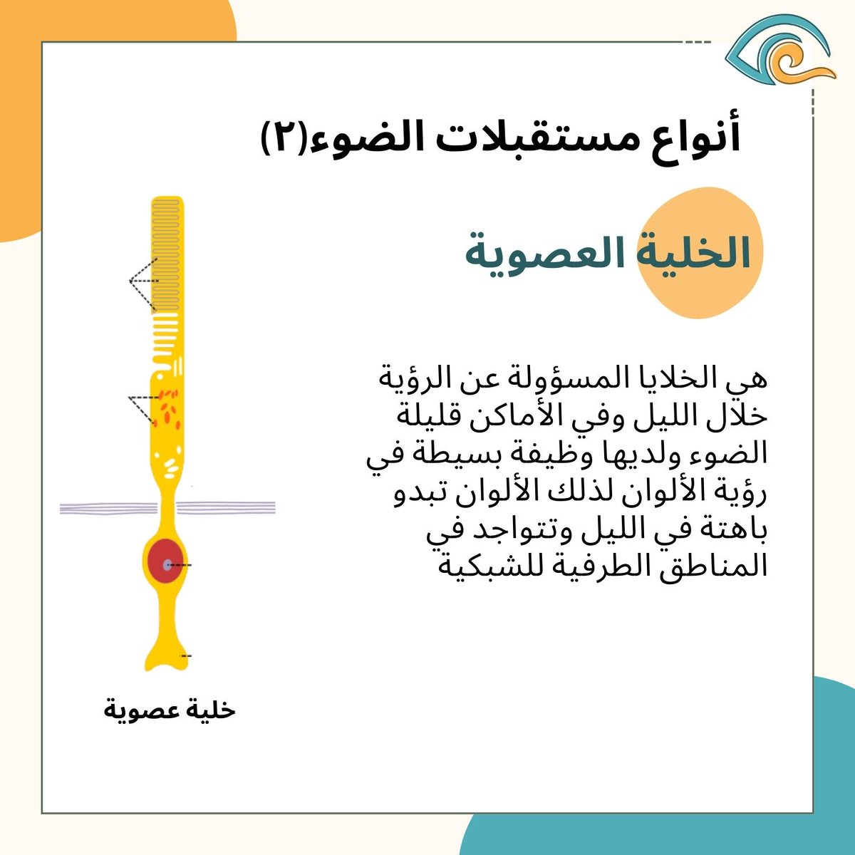 SaudiRP tweet picture