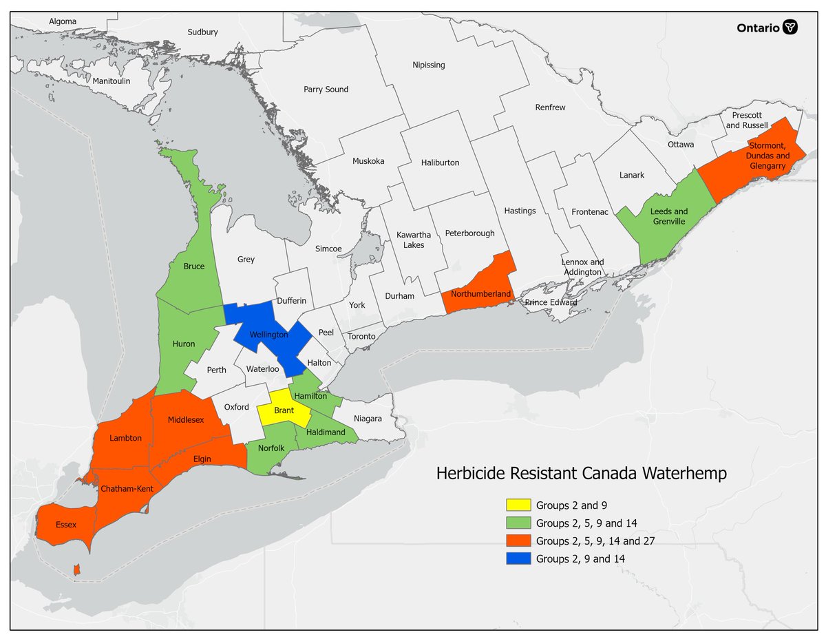 Hannah Symington tweet media