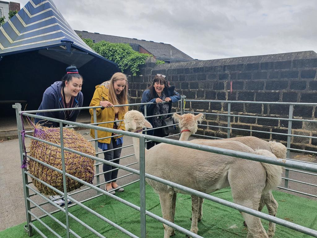 Kirkstall St Stephen's C of E Primary School tweet media