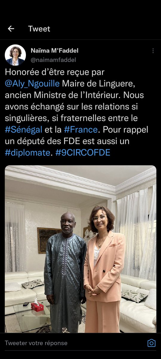 blachz's tweet photo. Pour certains candidats #extcirco09 la campagne est une chasse aux Pokémons. Pour être élu il faut les attraper tous ! https://t.co/7mzSNXqiKJ