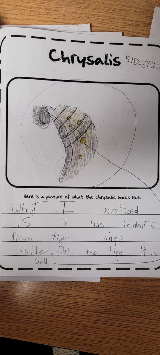 2nd Grade at MT tweet media