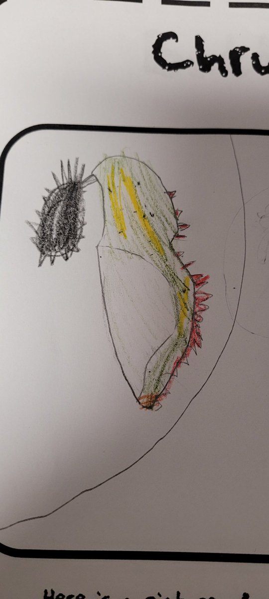 2nd Grade at MT tweet media