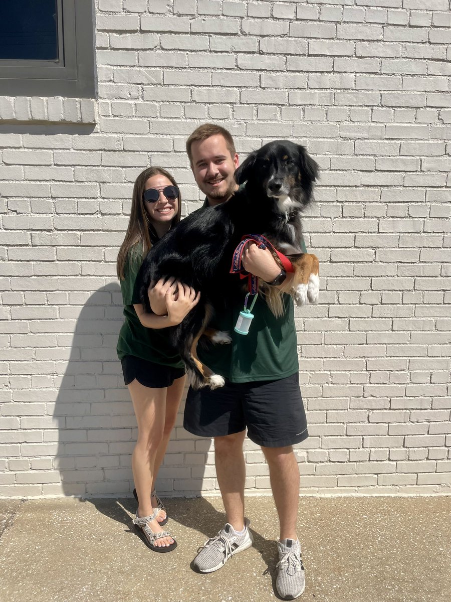 e_leffingwell29's tweet photo. 📍Birmingham, AL

Our newest adventure has begun!

Super excited to announce that I have accepted a position and will be working with Student-Athlete Support Services as an Assistant Academic Advisor Intern at UAB. Can’t wait to get started! Go Blazers! 

#WinAsOne | @UAB_SASS https://t.co/6LNmgIiesa