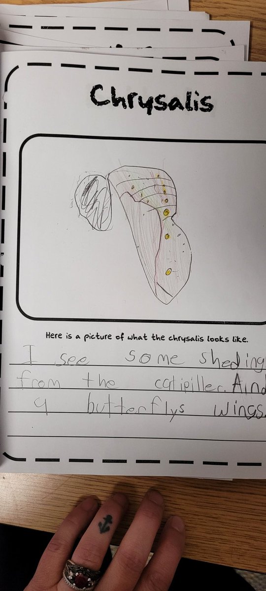 2nd Grade at MT tweet media