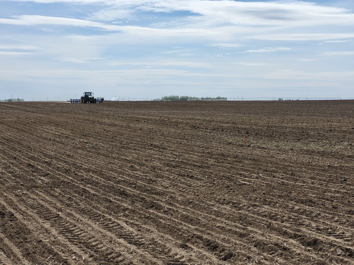 FilipchukAidan's tweet photo. Last pass of our Southern Alberta Plots is in the ground! Completed with good help. Now time to watch em grow. @PRIDESeeds #Agmorethanever #cornplots https://t.co/bmpthZ2vPb
