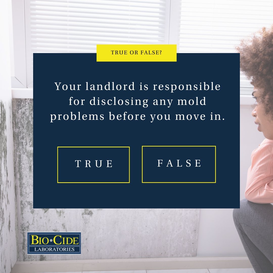 BiocideL's tweet photo. True or False: Your landlord is responsible for disclosing any mold problems in your rental before you move in (in Georgia)? 

#truefalse  #biocidelabs #moldtesting #landlord #tenantrights #blackmold #toxicmold #instalove https://t.co/yXkaG316Ut