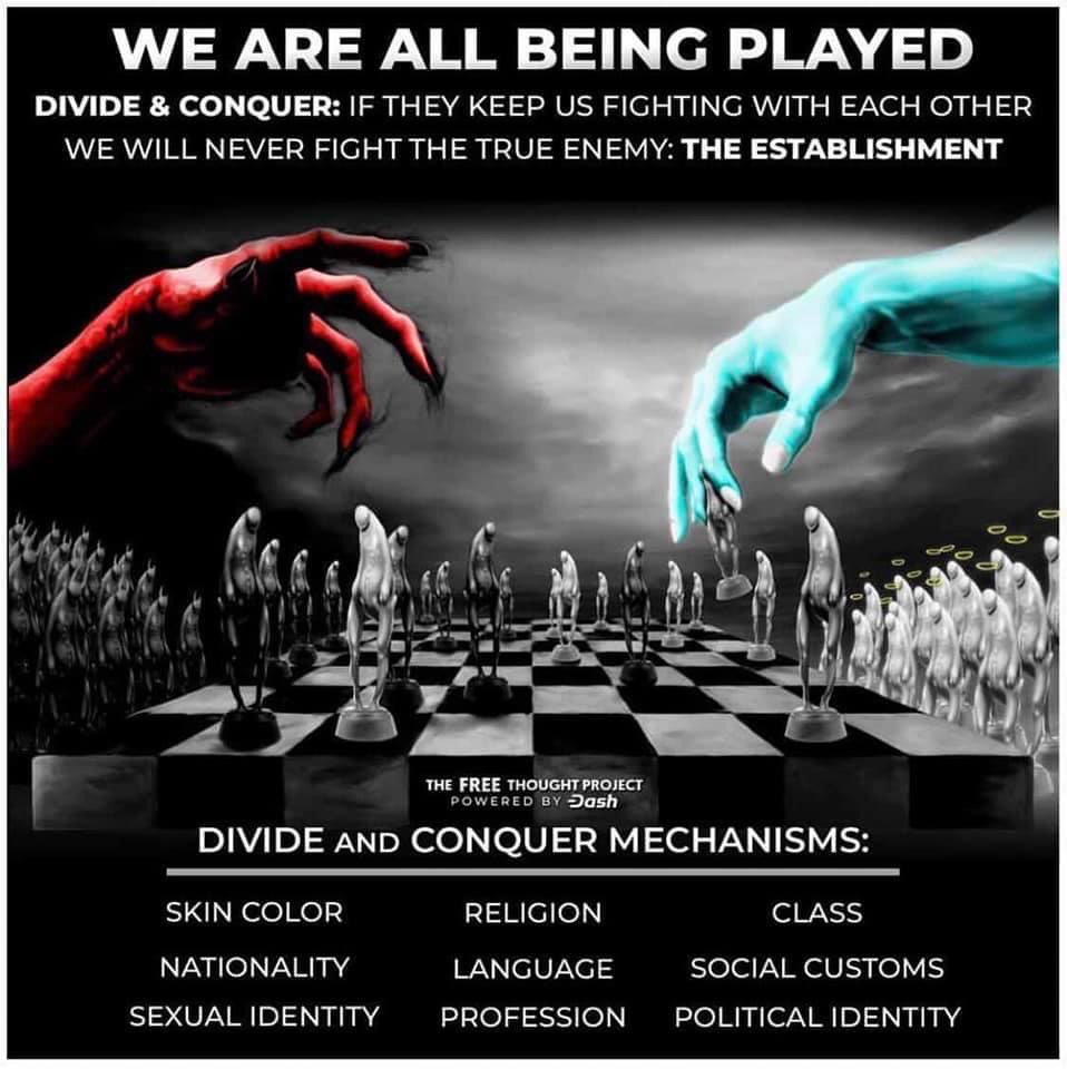 Tommy Tree tweet media