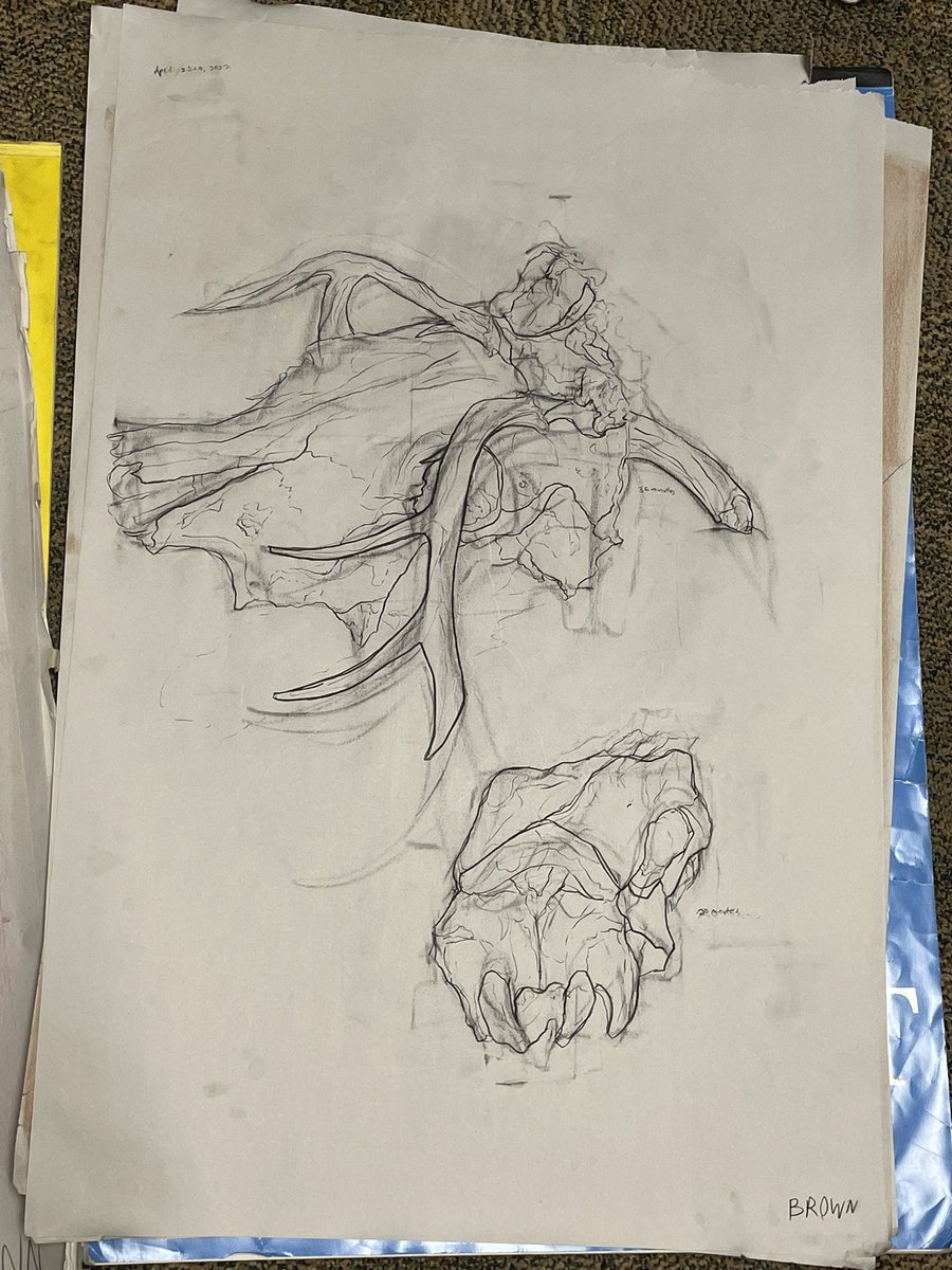 Caroline Brown (she/her) tweet media