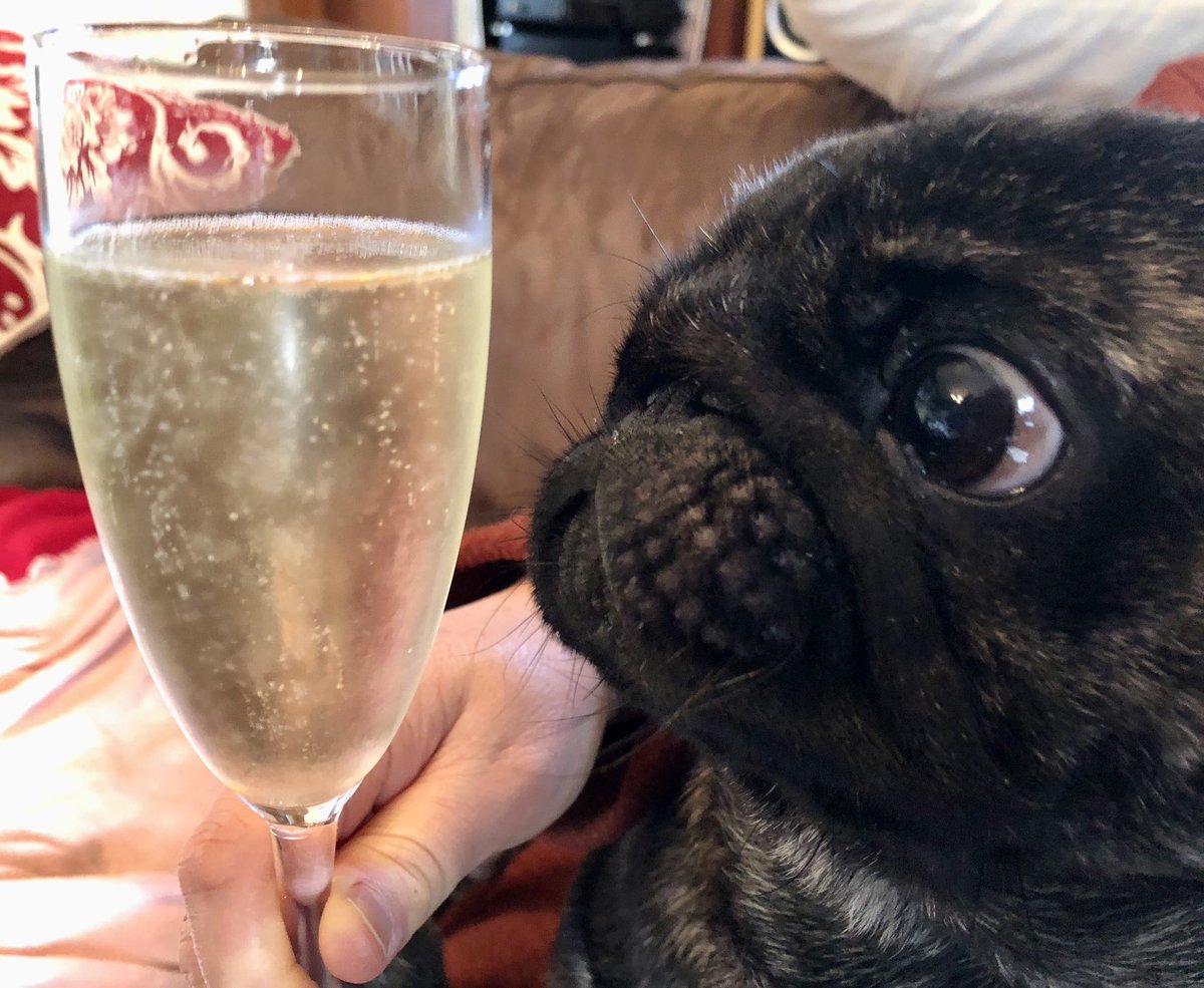 Hector_Shar_Pei's tweet photo. Woah, bubbles! https://t.co/YsHCK9SNaY