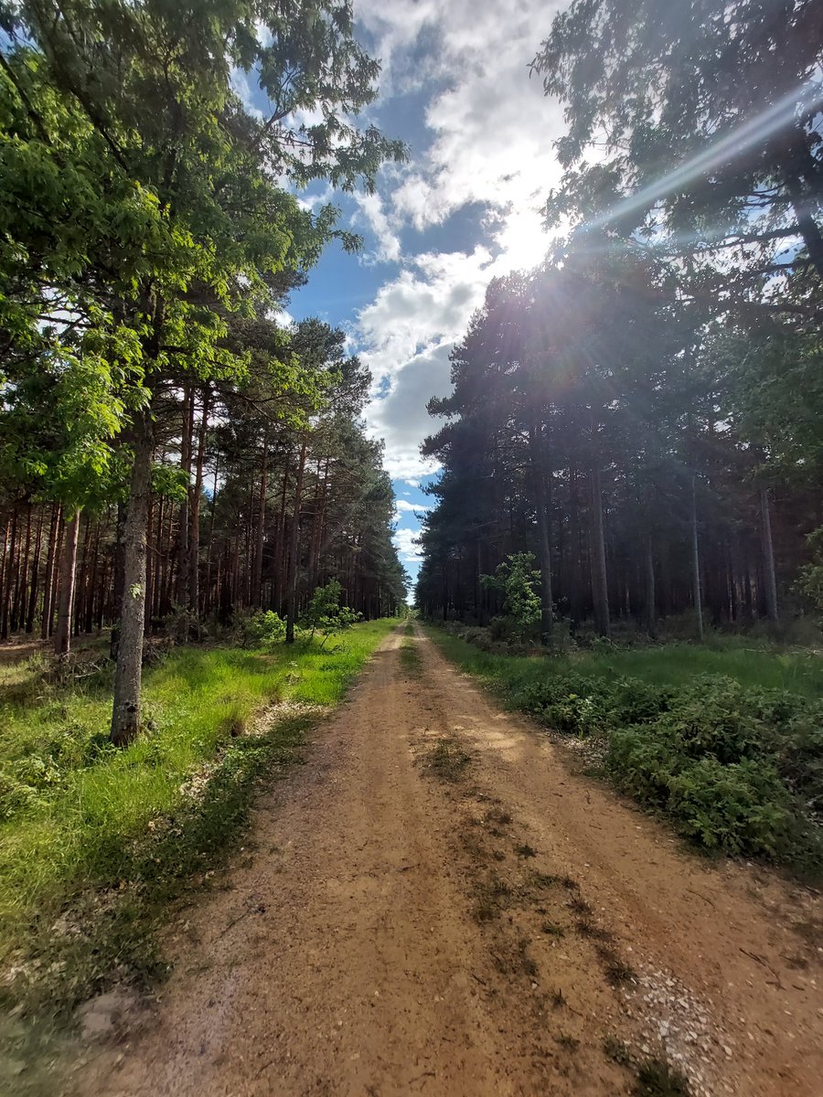 pedro_becares_'s tweet photo. No seguirías este camino?
Monte de #Riocamba #LeónESP https://t.co/bo0JiCWWW5