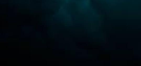 Lisa McNally Ⓥ tweet media