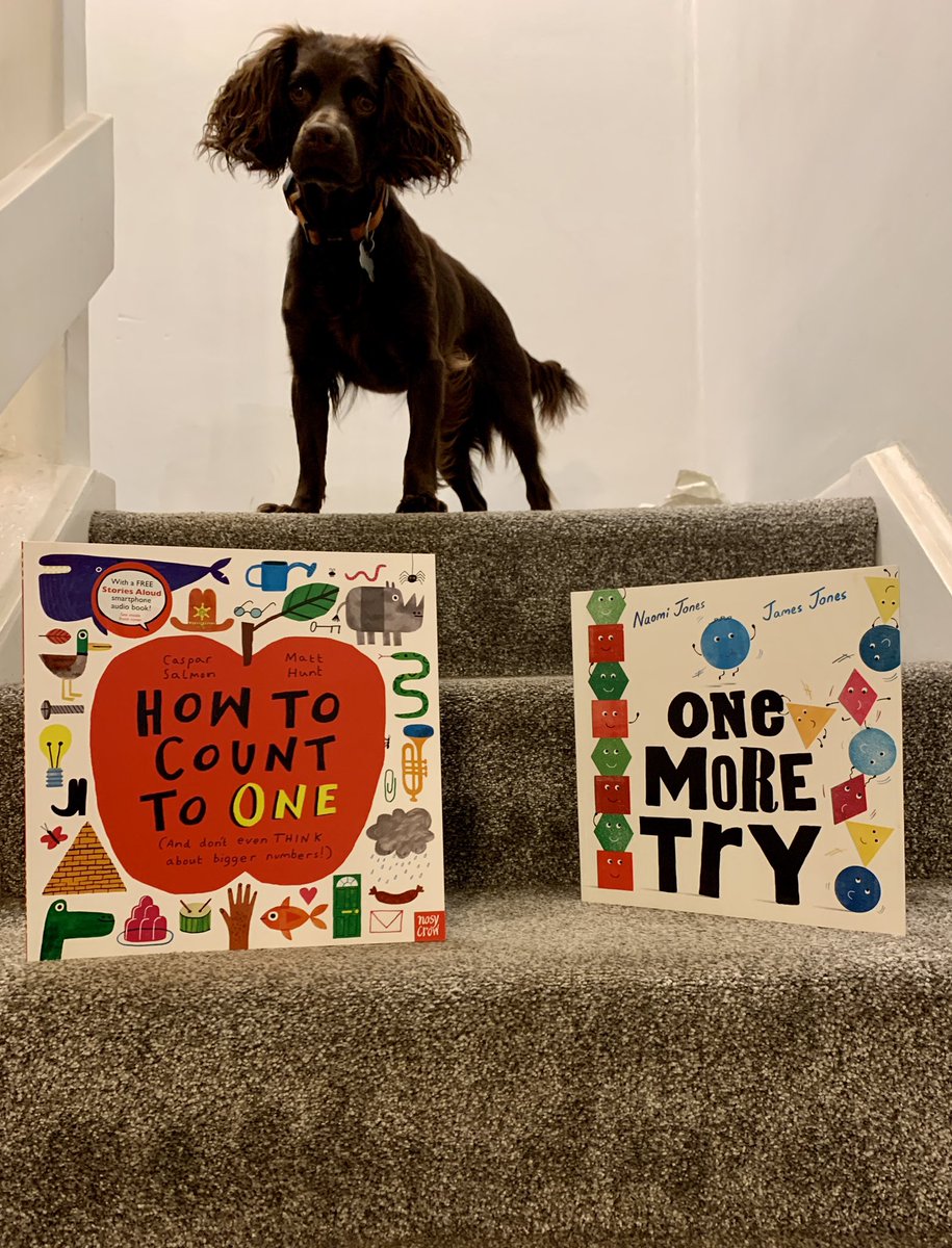 kittykatrollins's tweet photo. I LOVE new book day!  Even the dog approves 😁🐾 #readingforpleasure #mathsreading #EYFS #KS1 #onemoretry #howtocounttoone @K_HeathPrimary https://t.co/3POQ7Mnilo