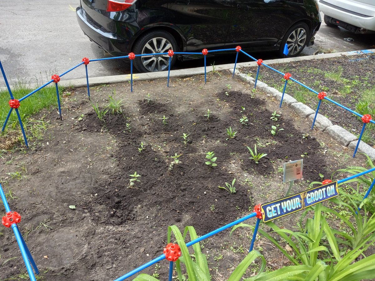 Amy Dusto tweet media