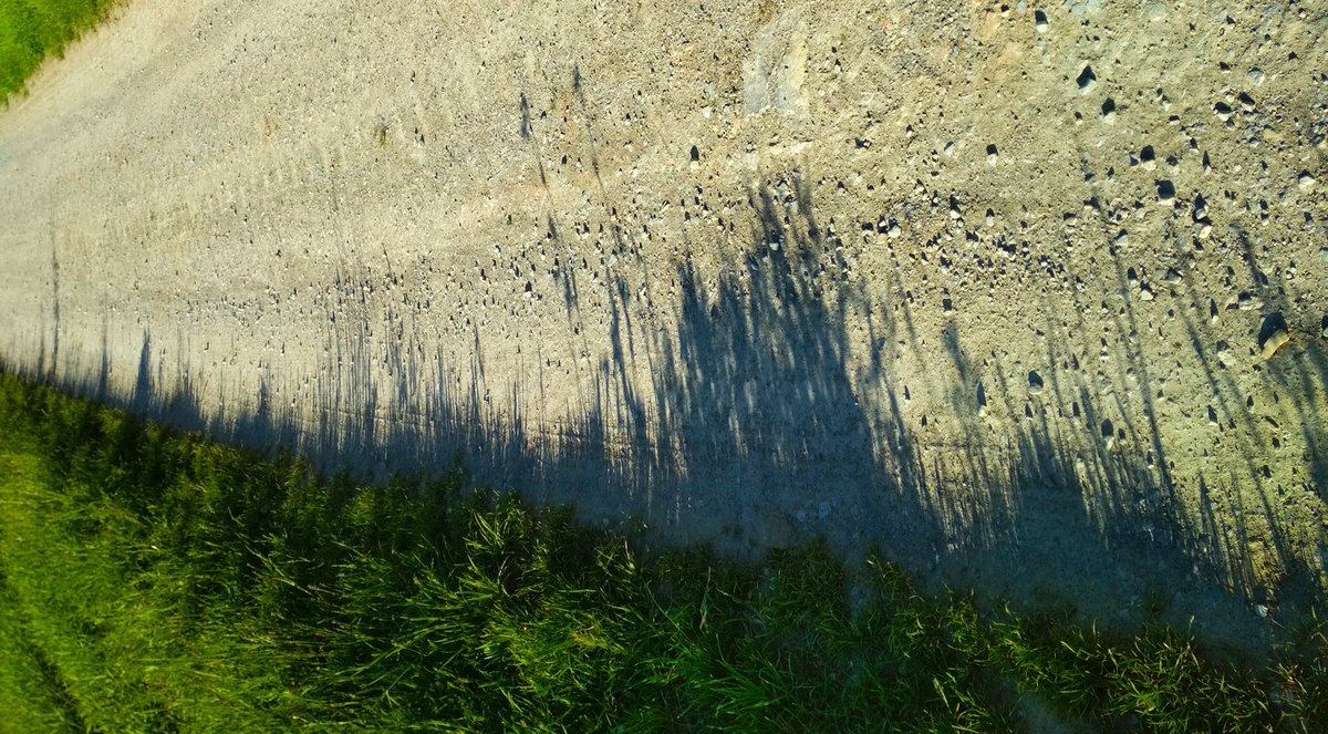 30xte's tweet photo. @marcotrizzino I see browser tracks in Nature ;) https://t.co/YQ9Ncbkah6