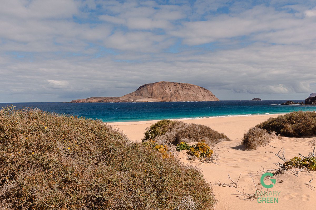 CanIslandsGreen's tweet photo. During our trip in #Lanzarote, we also visited the nearby island - #LaGraciosa!
There are no cars around, which made us very happy that we can #travel #sustainably on the island - by #bicycle. Also, visiting #Playa de #lasConchas is a must !!! 👀🙏🏼🌊🏝️

📸: @hvmansocial https://t.co/l3c0GwGDrM