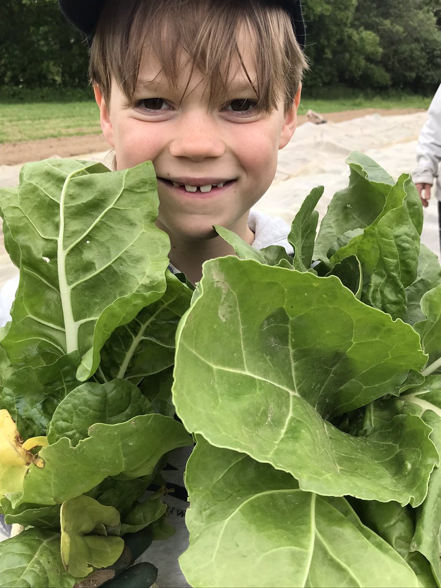 WPatemanscience's tweet photo. Today was year 3’s final Farm School session and just look at the veg they are taking home! What fantastic farmers! https://t.co/gRvHLNgxor