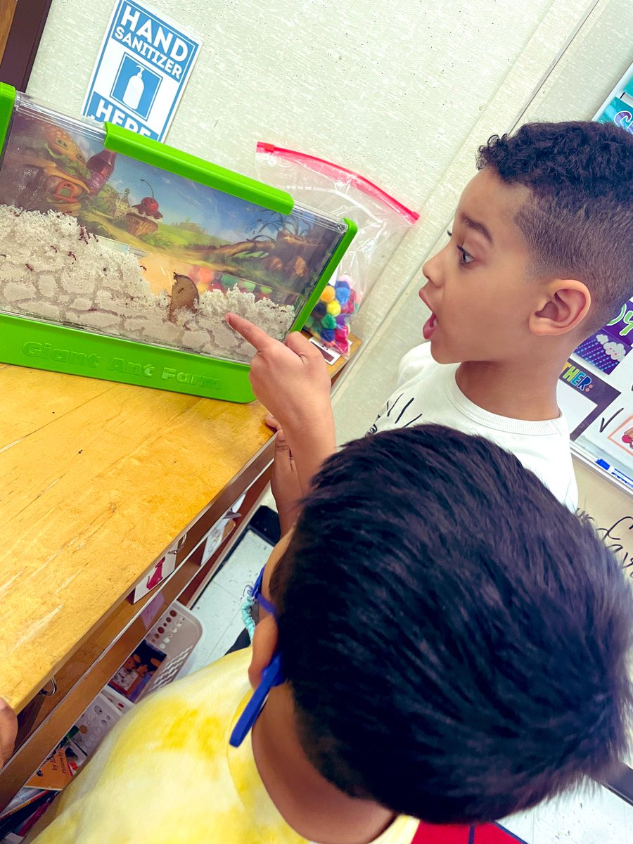 Ms_JChester4's tweet photo. Scientists looking at our Ant Farm &amp; recording their observations! 🐜 https://t.co/g0DV11PPLi