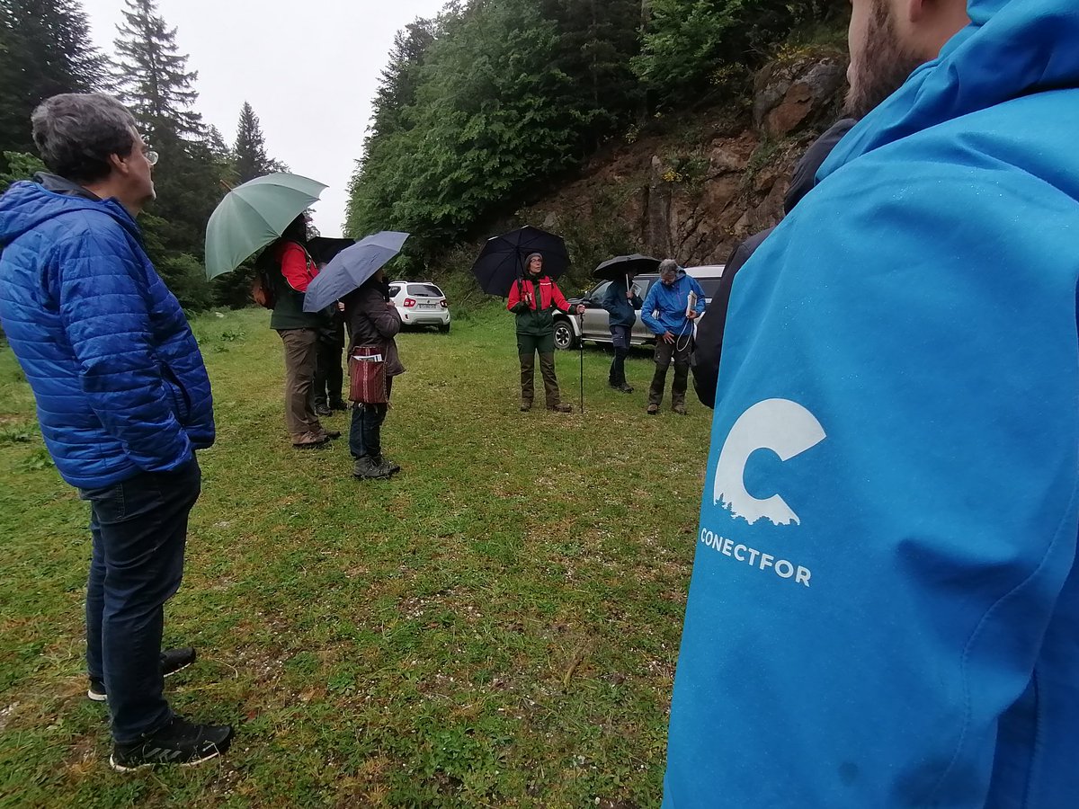FORESPIR_'s tweet photo. 🌲 Merci à tous les participants du séminaire de restitution du projet #conectfor : 2 jours en #Ariège sur le thème des #forêts à haute valeur environnementale des #pyrénées! Un grand merci aux partenaires pour toutes ces réalisations en faveur de la #biodiversité en forêt 👏 https://t.co/5FFf22DfiE
