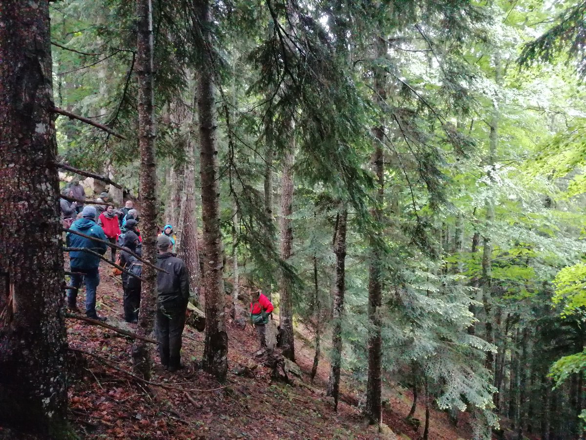 FORESPIR_'s tweet photo. 🌲 Merci à tous les participants du séminaire de restitution du projet #conectfor : 2 jours en #Ariège sur le thème des #forêts à haute valeur environnementale des #pyrénées! Un grand merci aux partenaires pour toutes ces réalisations en faveur de la #biodiversité en forêt 👏 https://t.co/5FFf22DfiE