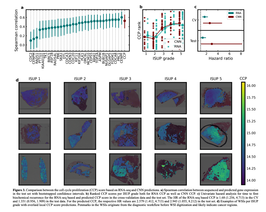 BioDecoded's tweet photo. Transcriptome-wide prediction of prostate cancer gene expression from histopathology images using co-expression based convolutional neural networks | Bioinformatics
https://t.co/PxIkEdpLIf

#Bioinformatics https://t.co/C1m0MdFDnO