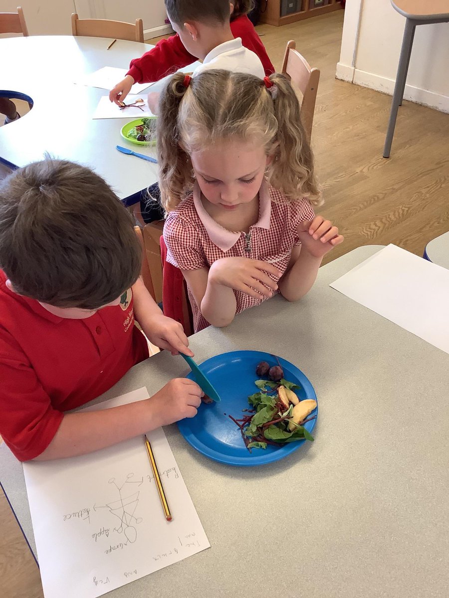 This week we have been exploring fruit and vegetables! Once we had worked on food hygiene we moved on to design and create our own fruit artwork! Chopping apples, grapes and salad leaves we made our creations 🍎