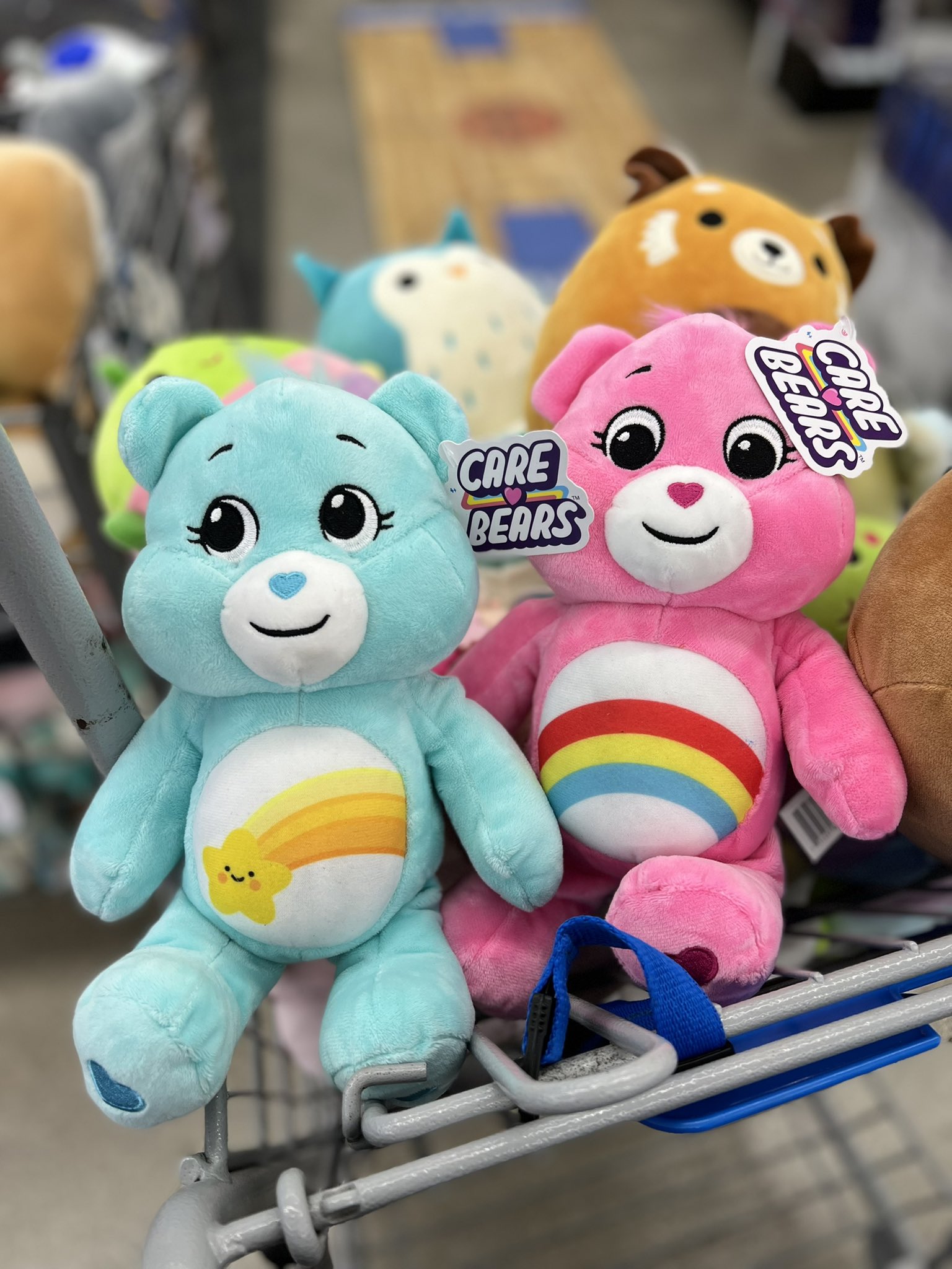 Xenia P/V on Twitter "We are still accepting cash donations to