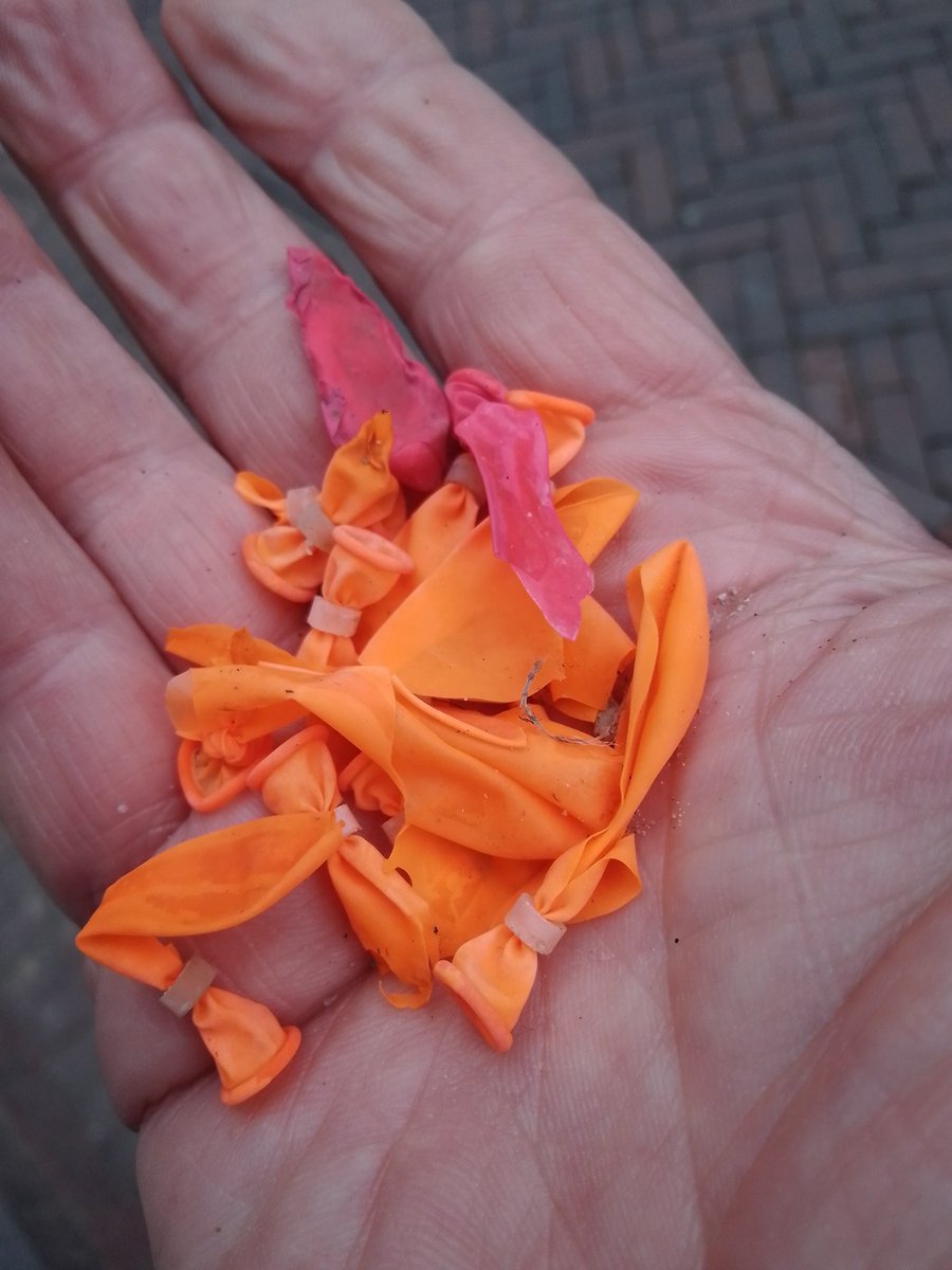 Lekjutter's tweet photo. En wat vond de Lekjutter vanavond op de Voorstraat? #spatplastic! https://t.co/EW1hPMJZn4