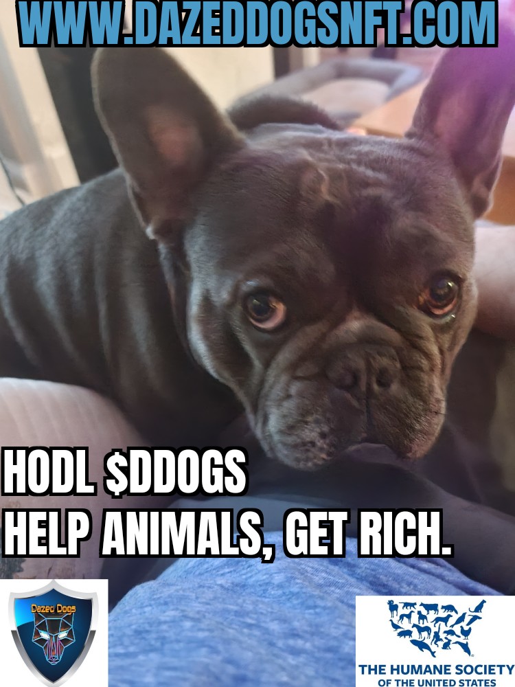 CryptoLucky777's tweet photo. Check out #DazedDogs #NFTs

50% is donated directly to @HumaneSociety an institution that is dedicated to helping animals in the US. 

18,000 USD donated so far

https://t.co/KJdDbuoVRL
Join our TG to learn more..Doxxed devs are always there to help.

https://t.co/2kBkLmduHE https://t.co/HUVIwsJyl3