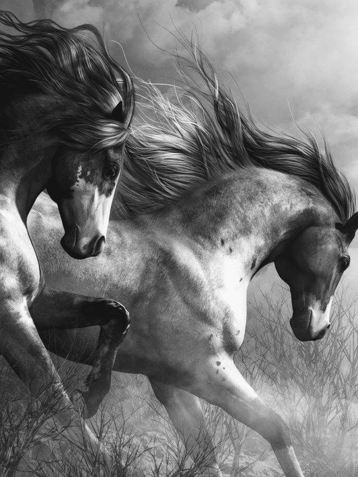 انسياب اللفظ tweet media