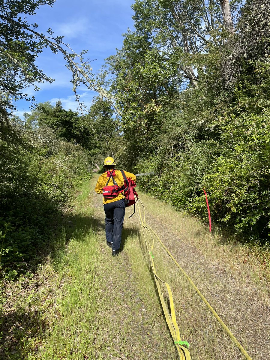 ESFPIO's tweet photo. A shift is conducting wildfire training in the area of Pitchford and Westech in W Eugene today.  We appreciate the Musgrove family for use of their property in this important training. https://t.co/V1muITvT8m