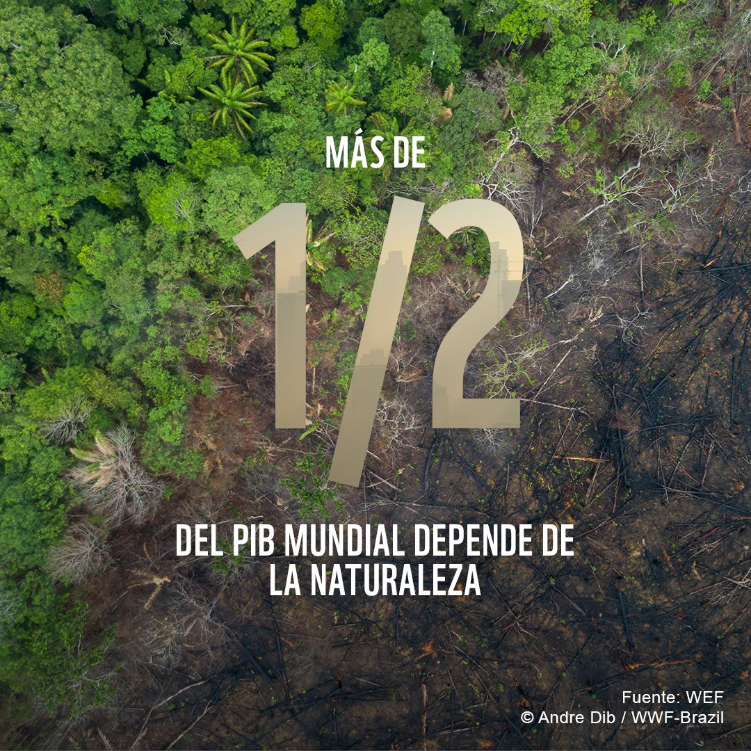 WWF_LAC tweet picture