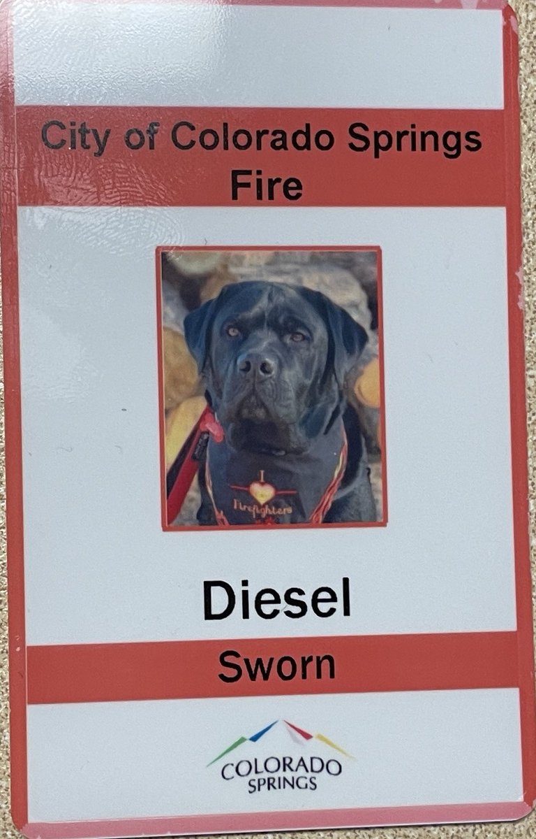 CSFDPIO's tweet photo. #ColoradoSpringsFire The CSFD would like to welcome our newest member of the department. Diesel is a wellness therapy dog. His mission is to comfort our firefighters with the many stressors of our profession. We are excited to welcome him to our ranks. https://t.co/3Dp6XmHcnr