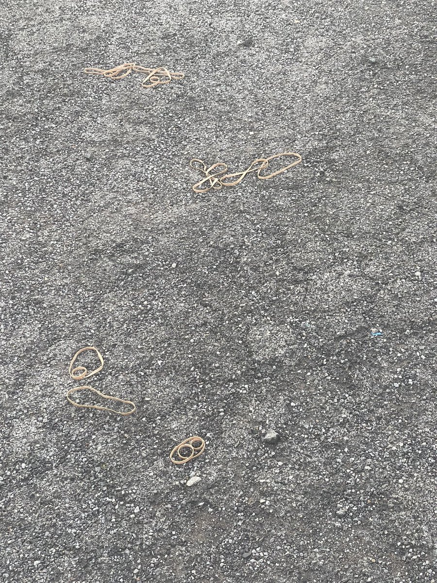 Sharon Warmington tweet media