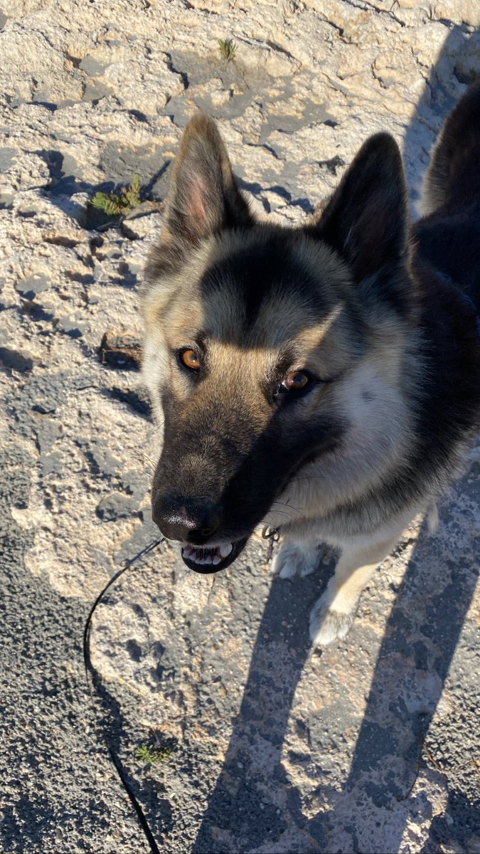 fdzmarieta's tweet photo. Mood de playa 💙✌🏽 https://t.co/hBCFATU6Tf