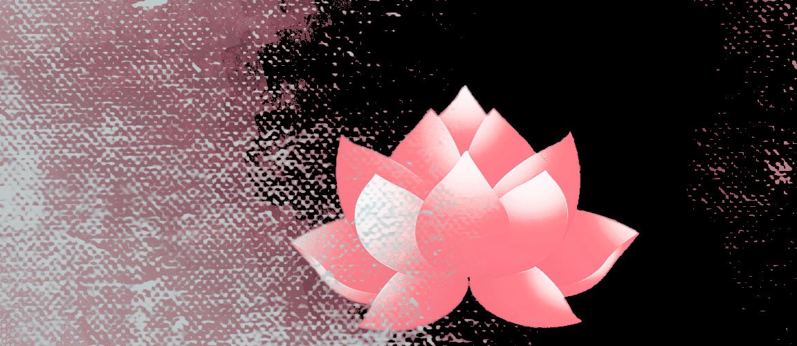 Fav para que Louise te dedique una (1) flor.