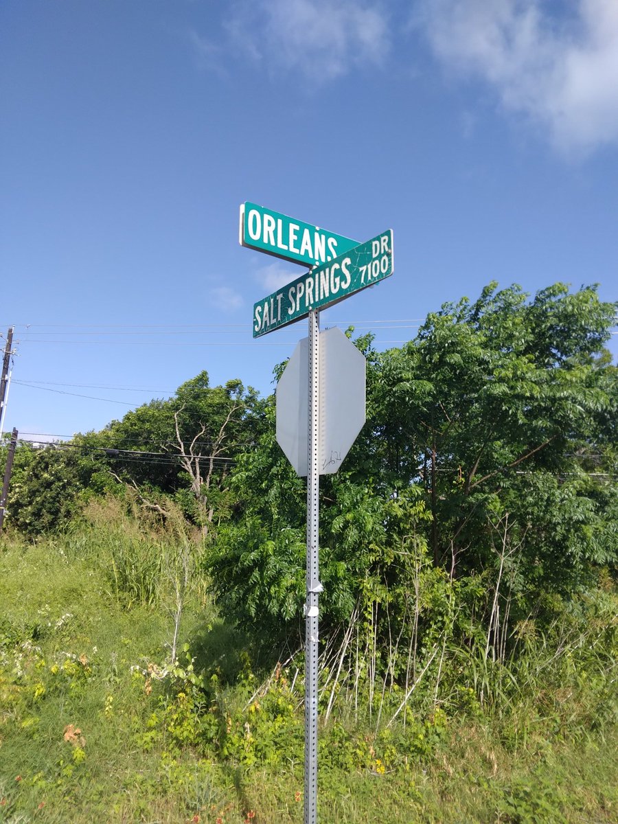 tflames's tweet photo. I didn't know there was an Orleans in Austin Texas.
This is the street that I work on now
#MyNewJob 
#SignFromGod
#TheUniverse 
#ThePlanetsHaveAligned https://t.co/Re7OTKiQOb
