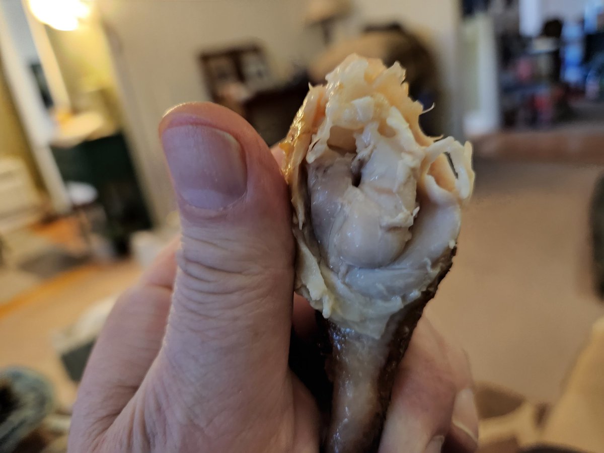JohnLukeNYC's tweet photo. Legs &amp; Thighs From @bostonmarket #TINY #DRIEDOUT #OVERCOOKED HORRIBLE! NO EXCUSE FOR SERVING THESE PIECES! https://t.co/Ozgm8aRGSl