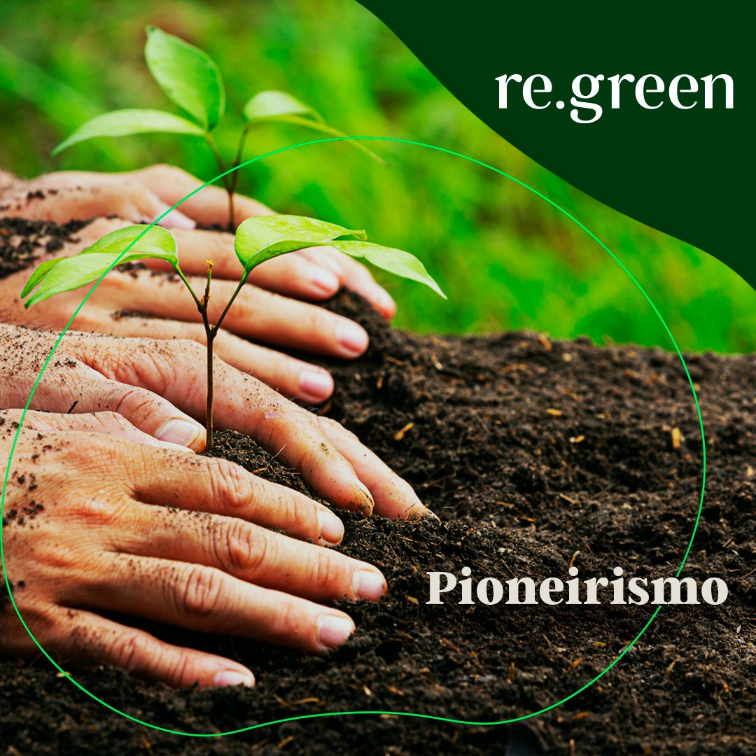 Re Green tweet media