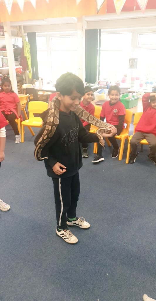 MrsShawMorgan1's tweet photo. How brave these 2 were today!! 🐍👏🏾 https://t.co/MmghBMGQAK